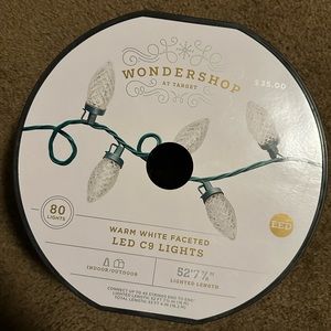 Target Wondershop Unopened Indoor/Outdoor Holiday Faceted Aesthetic Rope Lights